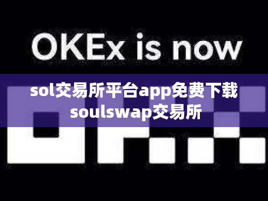 sol交易所平台app免费下载 soulswap交易所
