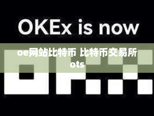 oe网站比特币 比特币交易所ots