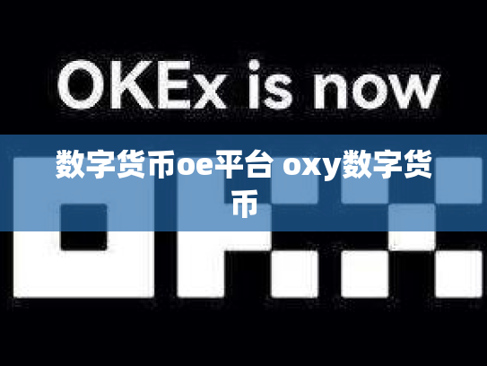 数字货币oe平台 oxy数字货币