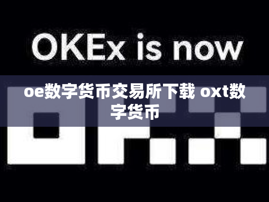 oe数字货币交易所下载 oxt数字货币