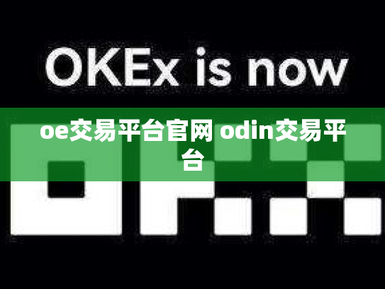 oe交易平台官网 odin交易平台