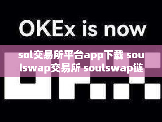 sol交易所平台app下载 soulswap交易所 soulswap链上交易所