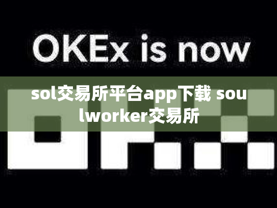 sol交易所平台app下载 soulworker交易所