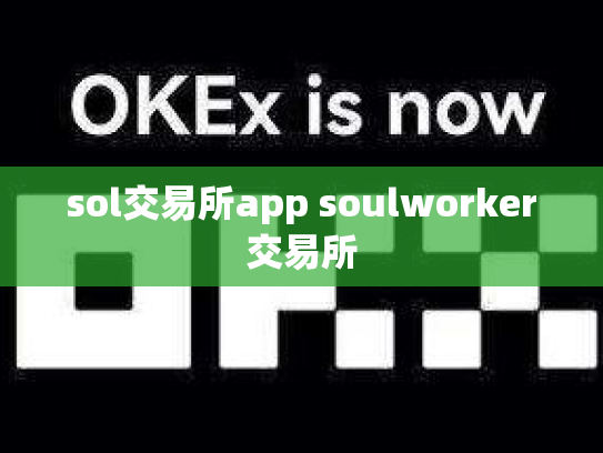 sol交易所app soulworker交易所