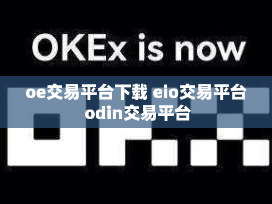oe交易平台下载 eio交易平台 odin交易平台