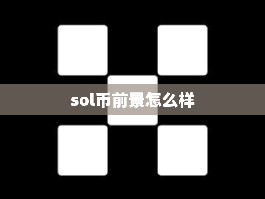 sol币前景怎么样