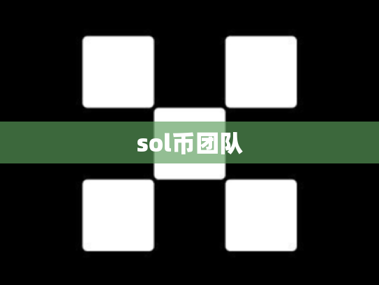 sol币团队