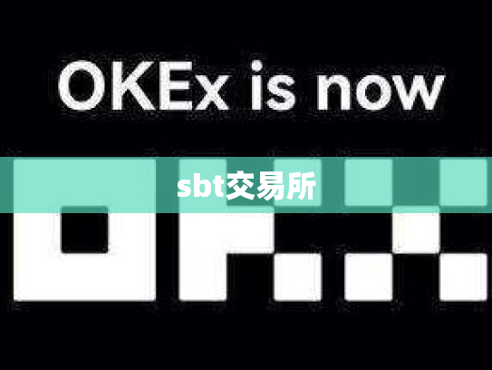 sbt交易所