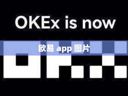 欧易 app 图片