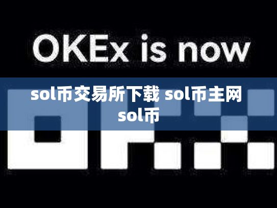 sol币交易所下载 sol币主网 sol币