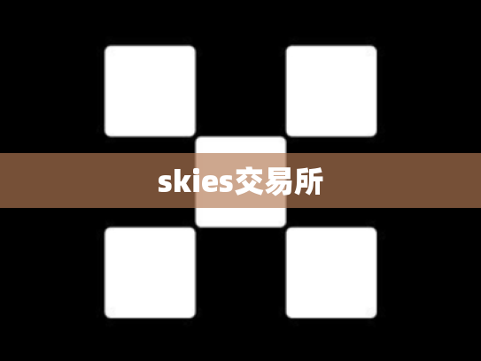 skies交易所
