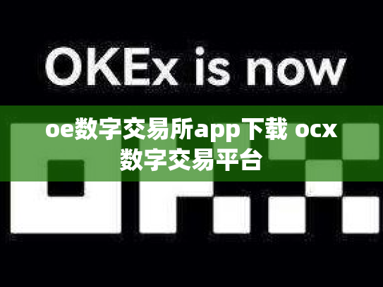 oe数字交易所app下载 ocx数字交易平台