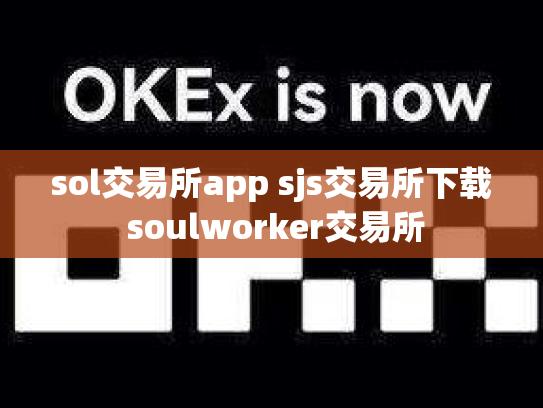 sol交易所app sjs交易所下载 soulworker交易所
