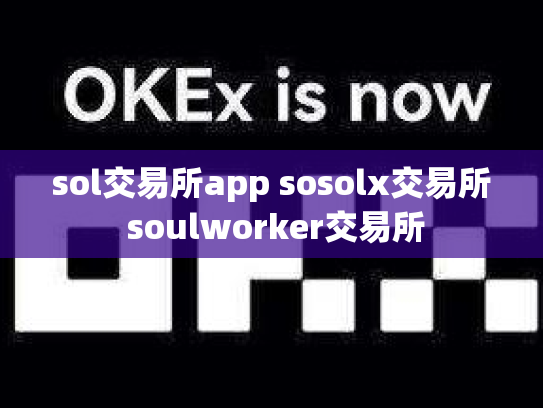 sol交易所app sosolx交易所 soulworker交易所