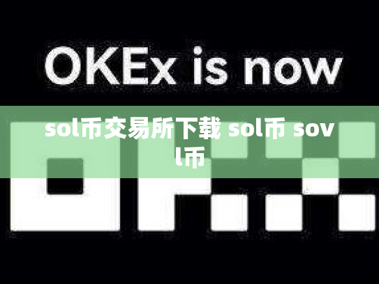 sol币交易所下载 sol币 sovl币