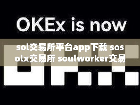 sol交易所平台app下载 sosolx交易所 soulworker交易所