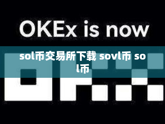 sol币交易所下载 sovl币 sol币