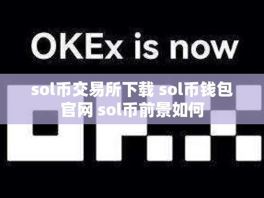 sol币交易所下载 sol币钱包官网 sol币前景如何