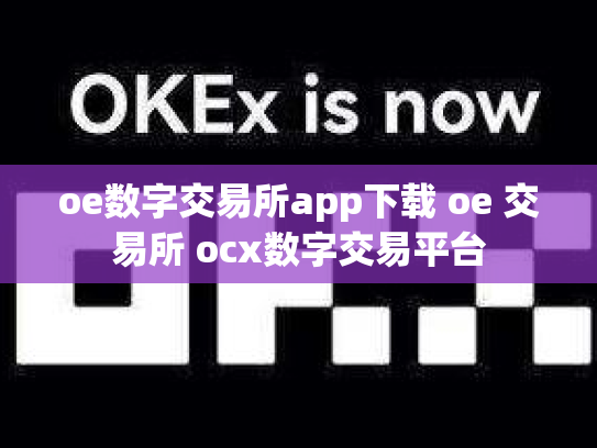 oe数字交易所app下载 oe 交易所 ocx数字交易平台
