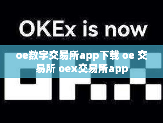 oe数字交易所app下载 oe 交易所 oex交易所app