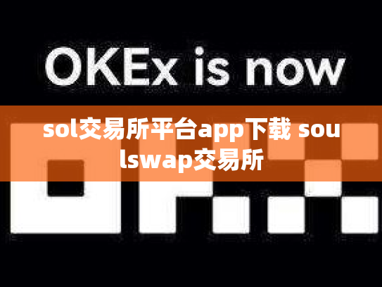 sol交易所平台app下载 soulswap交易所