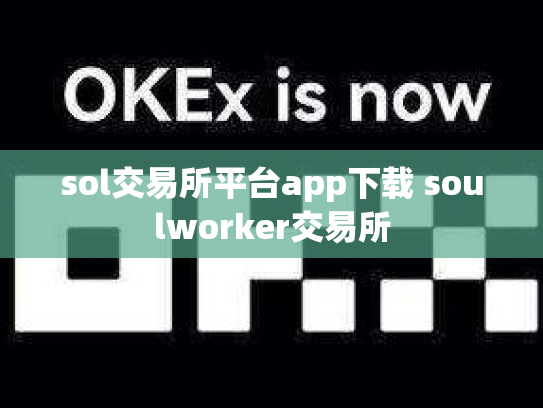 sol交易所平台app下载 soulworker交易所