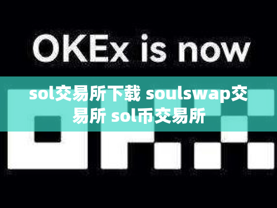 sol交易所下载 soulswap交易所 sol币交易所