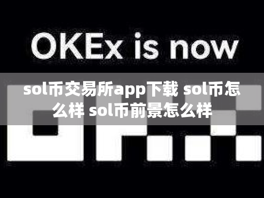 sol币交易所app下载 sol币怎么样 sol币前景怎么样