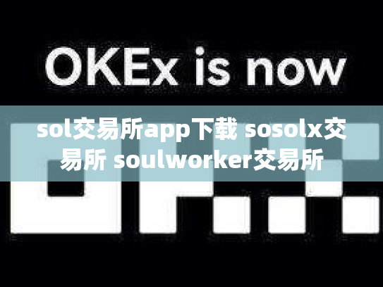 sol交易所app下载 sosolx交易所 soulworker交易所