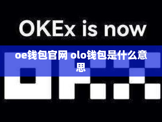 oe钱包官网 olo钱包是什么意思
