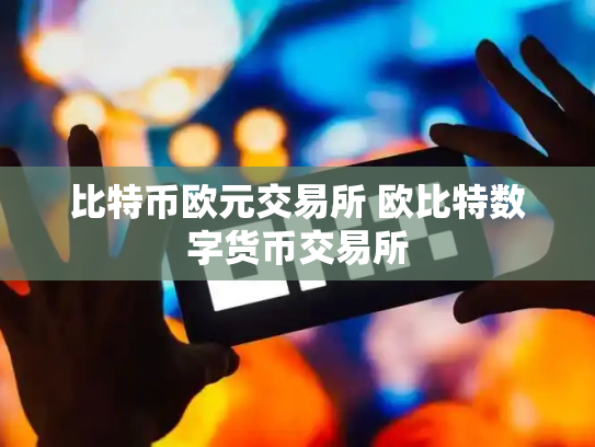 比特币欧元交易所 欧比特数字货币交易所