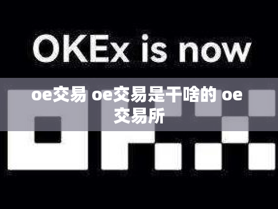 oe交易 oe交易是干啥的 oe 交易所
