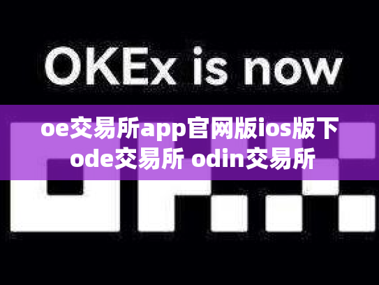 oe交易所app官网版ios版下 ode交易所 odin交易所