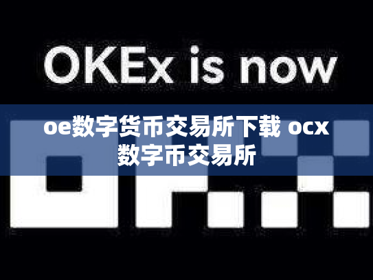 oe数字货币交易所下载 ocx数字币交易所