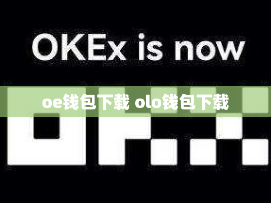 oe钱包下载 olo钱包下载