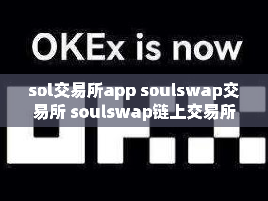 sol交易所app soulswap交易所 soulswap链上交易所