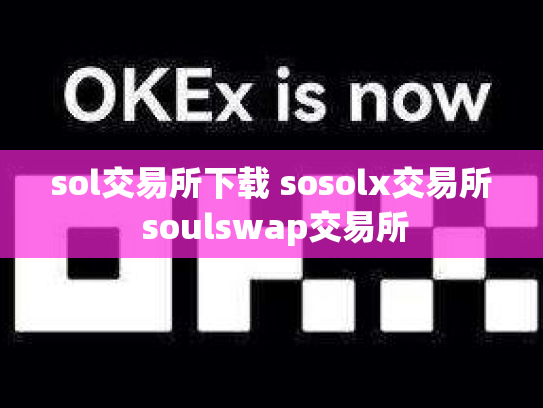 sol交易所下载 sosolx交易所 soulswap交易所
