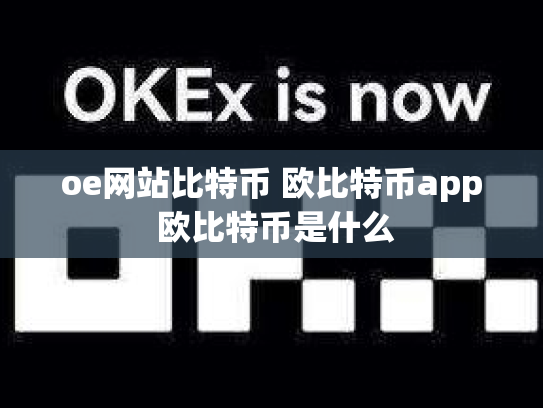 oe网站比特币 欧比特币app 欧比特币是什么
