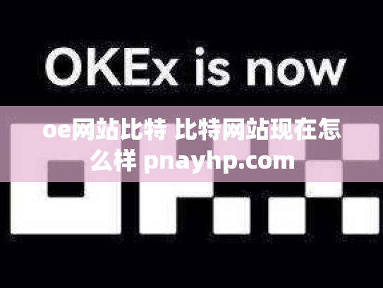 oe网站比特 比特网站现在怎么样 pnayhp.com