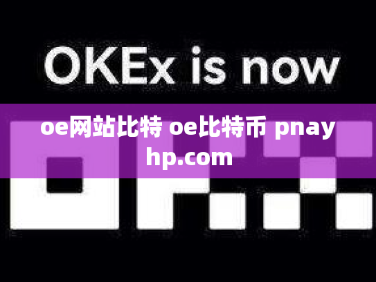 oe网站比特 oe比特币 pnayhp.com
