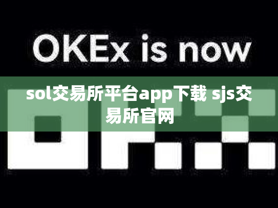 sol交易所平台app下载 sjs交易所官网