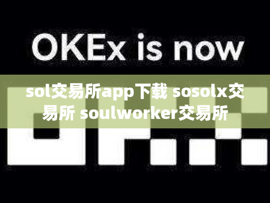 sol交易所app下载 sosolx交易所 soulworker交易所