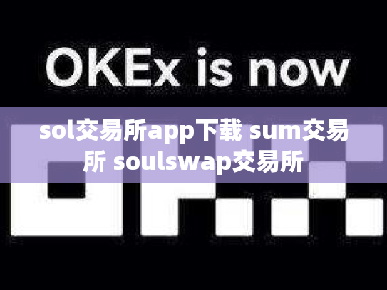 sol交易所app下载 sum交易所 soulswap交易所
