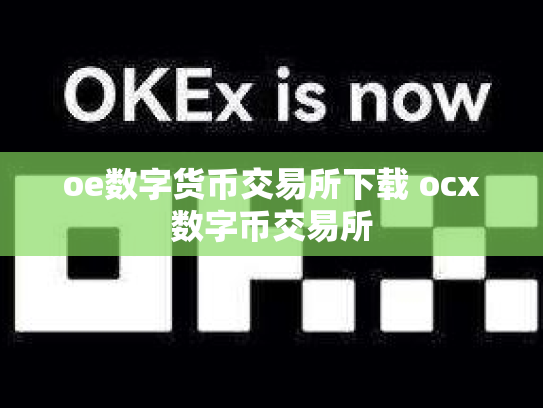 oe数字货币交易所下载 ocx数字币交易所