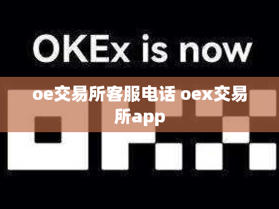 oe交易所客服电话 oex交易所app