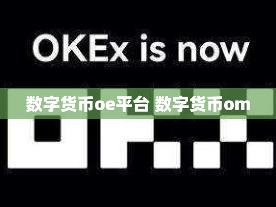 数字货币oe平台 数字货币om