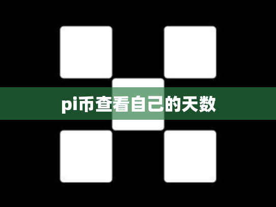 pi币查看自己的天数