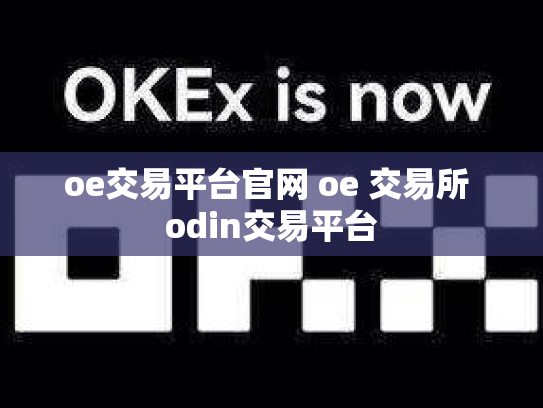 oe交易平台官网 oe 交易所 odin交易平台