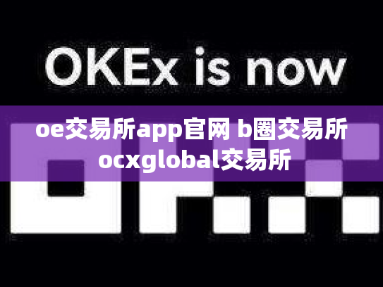 oe交易所app官网 b圈交易所 ocxglobal交易所