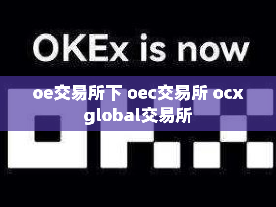 oe交易所下 oec交易所 ocxglobal交易所